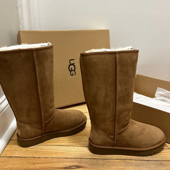 Chestnut colored tall ugg boots - Picture 12 of 12